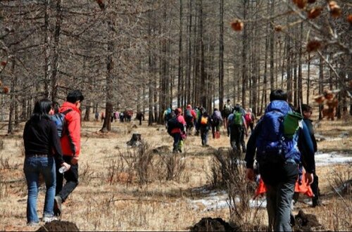 Ууланд аялж байсан иргэдийн нэг нь амь насаа алджээ